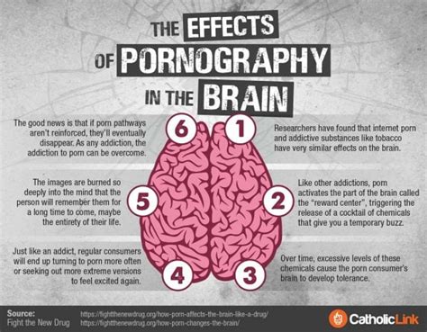 does porn cause brain damage|Your Brain on Porn and Other Sexual Images